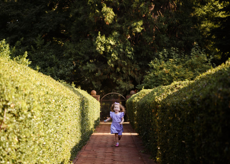 Little girl running through hedges at Empire Mine State Park