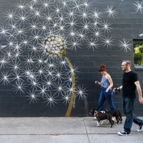 Couple walking French bulldogs in front of dandelion mural in Sacramento