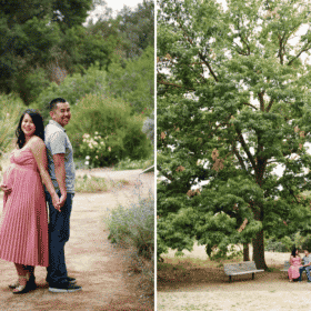 maternity photo shoot with couple in northern california in the oak trees
