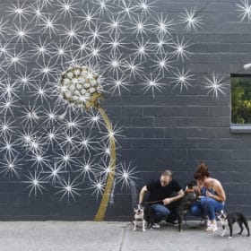 couple posing with boston terrier dogs in front of mural in downtown sacramento california