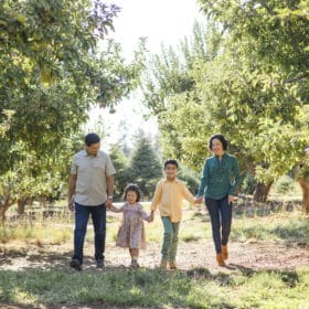 family holding hands in an apple orchard in the fall sacramento california