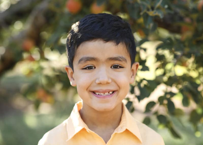 young boy in fall family photos in apple orchard sacramento california