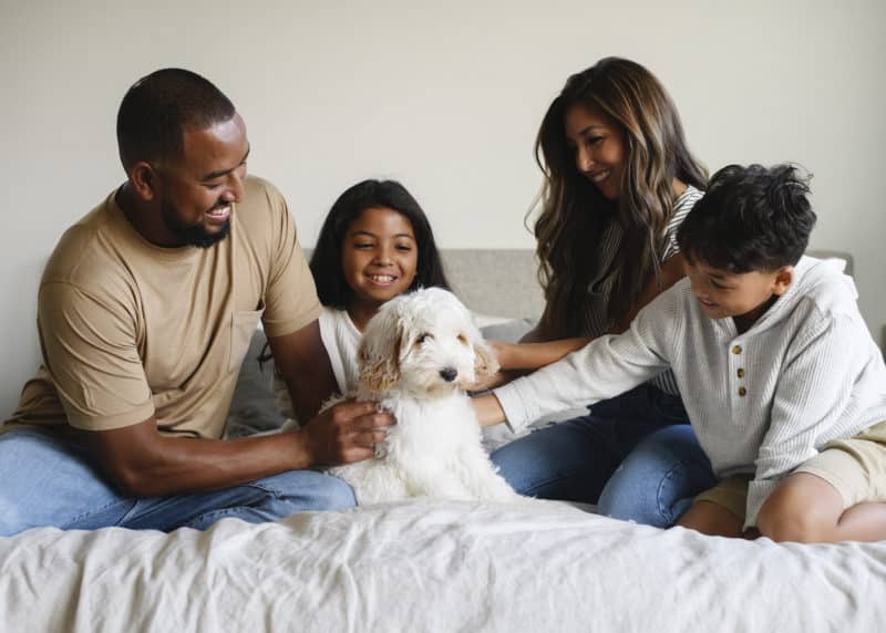 family of four with puppy in at home photo shoot sacramento california