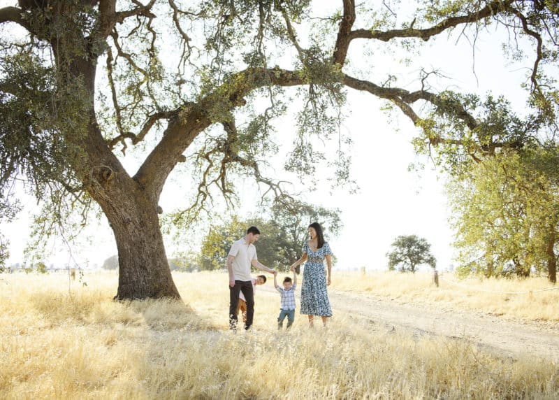 family of four fall photos under the oak tree in gibson ranch california