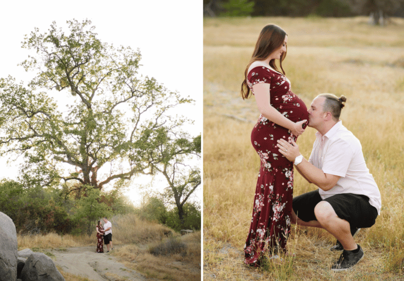 dad kissing pregnant belly, couple holding hands in front of big tree during sunset