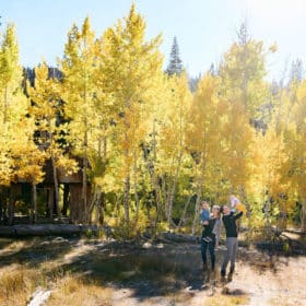 fall family photos in the aspen trees truckee california