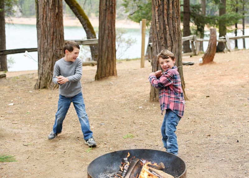 young boys roasting marshmallows by the fire