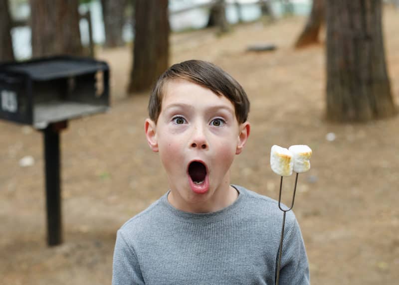 young boy holding marshmallows on a stick