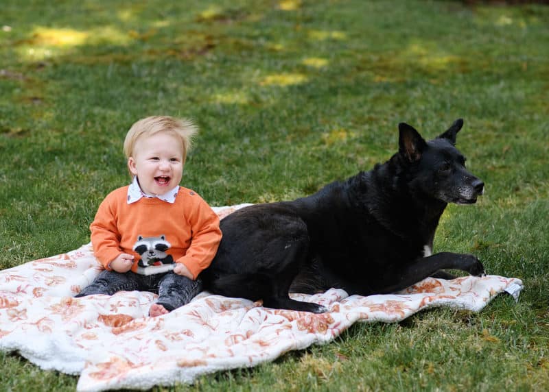 toddler boy sitting with his dog on a blanket in the grass sacramento california