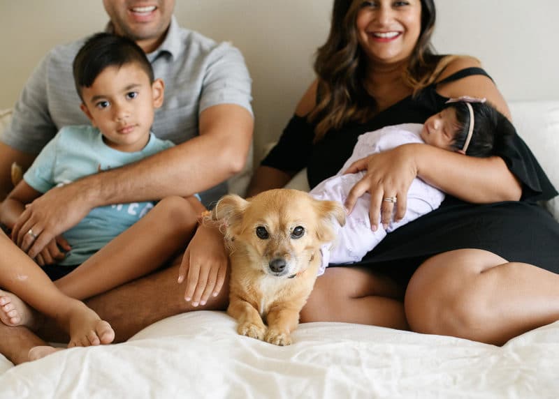 family of four sitting on bed with newborn baby and family dog