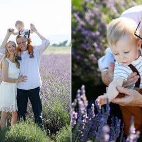 what to wear for lavender field photo shoot