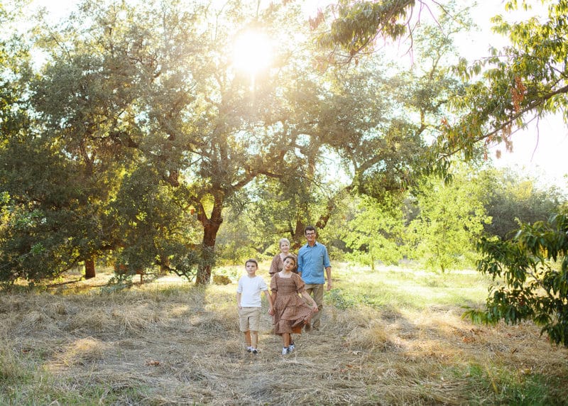 family of four walking in the park by big trees and natural light