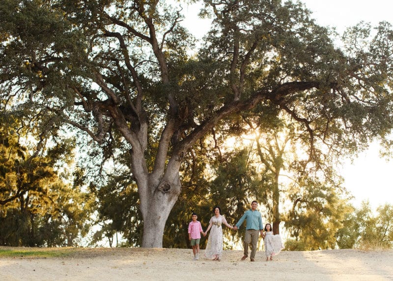 taking family photos under a tree in the summer sacramento california