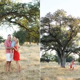 family of three posing under big oak tree in folsom california