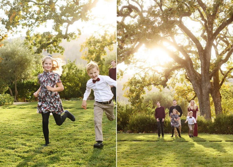 Young siblings running together in a field, family standing in front of large tree with golden sunlight