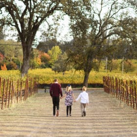 three siblings holding hands walking through the family vineyard in napa california