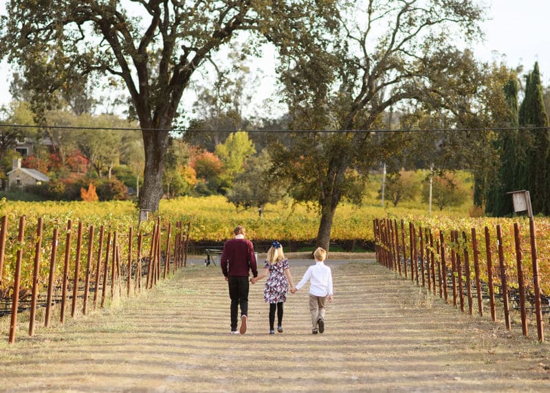 three siblings holding hands walking through the family vineyard in napa california