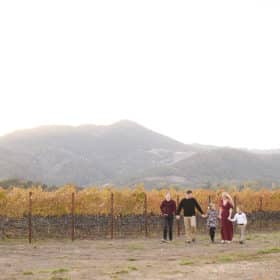 family of five holding hands walking along the vineyard with the napa valley mountains in the background