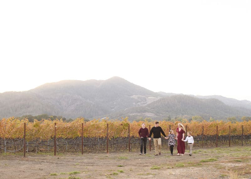 family of five holding hands walking along the vineyard with the napa valley mountains in the background