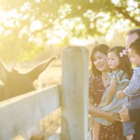 family of four standing together looking at a pet donkey during fall family photos in sacramento california