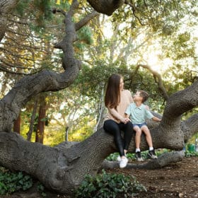 mother and son sitting on an oak tree branch looking at one another during golden hour in berkeley california