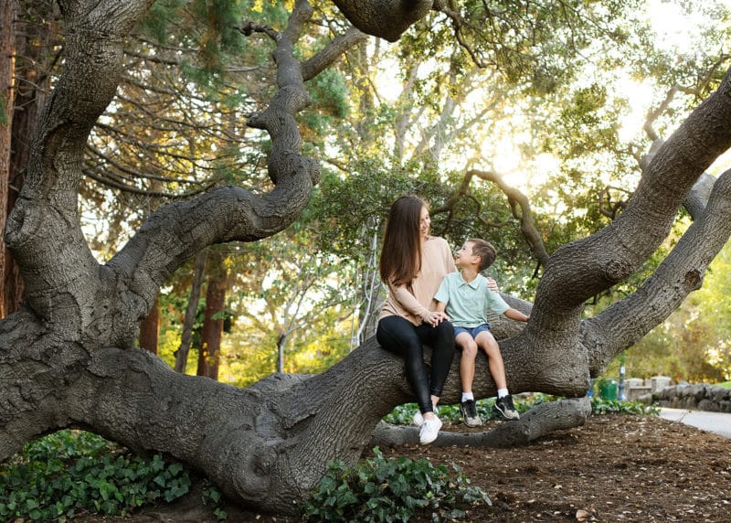 mother and son sitting on an oak tree branch looking at one another during golden hour in berkeley california
