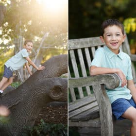 young boy climbing a tree, sitting on a bench and smiling during fall family photos in berkeley california
