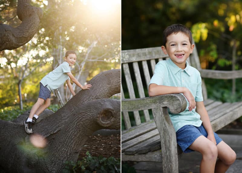 young boy climbing a tree, sitting on a bench and smiling during fall family photos in berkeley california