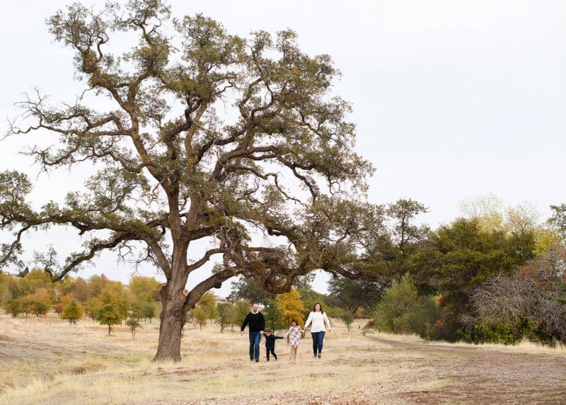 family of four walking together under a large oak tree in sacramento california