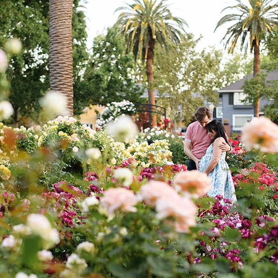 couple standing in the middle of a rose garden in spring in sacramento california