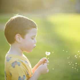 young boy blowing a dandelion during family photos in spring