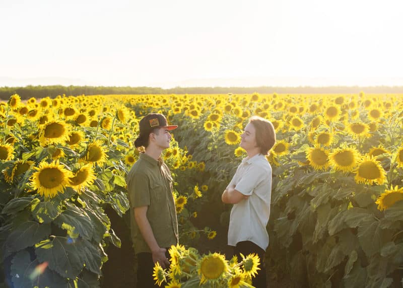 two brothers looking at each other while the photographer takes pictures in a sunflower field in dixon california