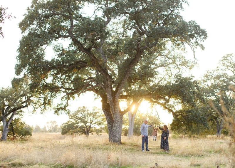 folsom family photographer taking maternity photos with a family of three next to a big oak tree