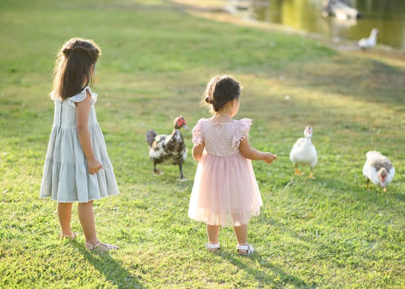 young girls taking family photos and following ducks in sacramento california