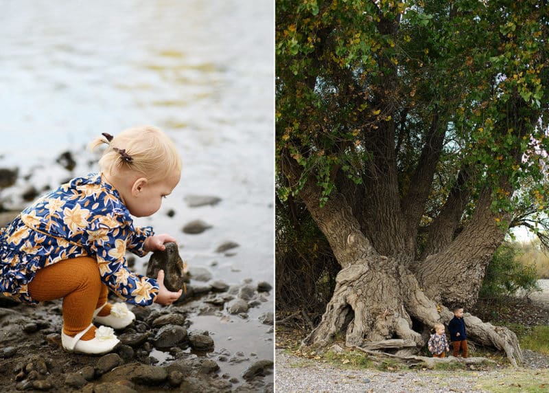 young girl skipping rocks in the river; brother and sister sitting on a large tree in sacramento california