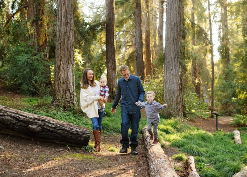 redwoods davis photographer