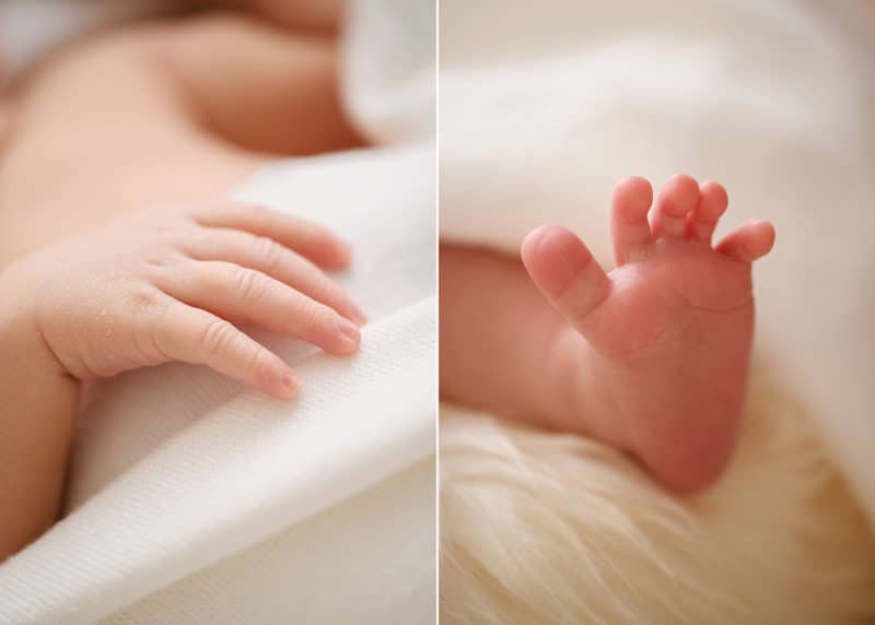 close-up photos of newborn baby hands and feet wrapped in a white blanket