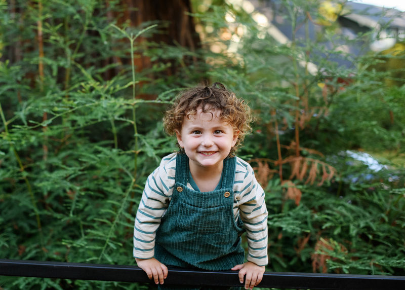 young boy hanging on a black fence in front of redwood tree and green foliage during family photo session with sacramento photographer