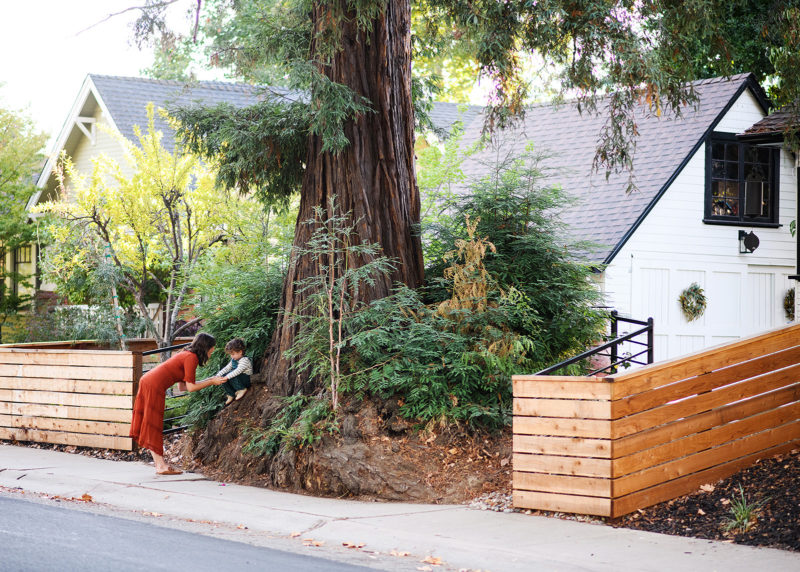 mom with young son playing on a big redwood tree outside of family home during at-home family session